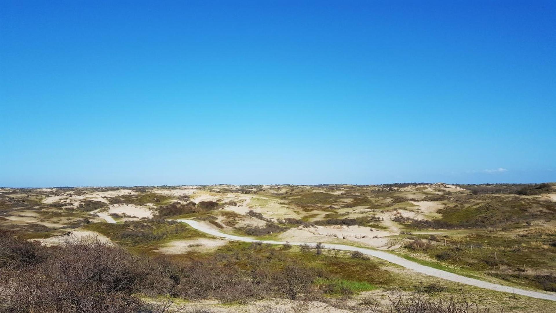 Bamboe Suite Bentveld Met Ligbad En Gratis Parkeren Экстерьер фото